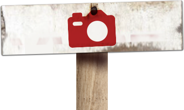 cartel camara ilustrado